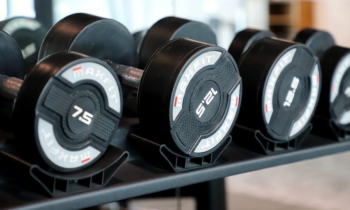 A pair of adjustable dumbbells resting on a home gym rack