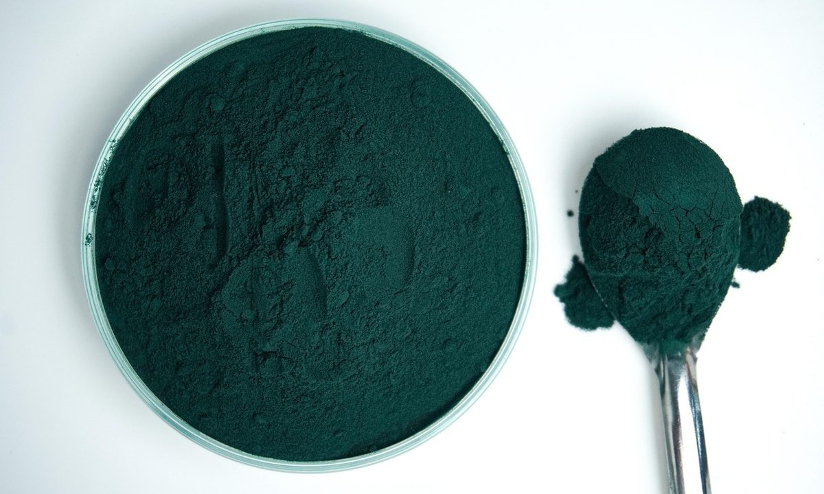 Green superfood powder in a bowl with a scoop