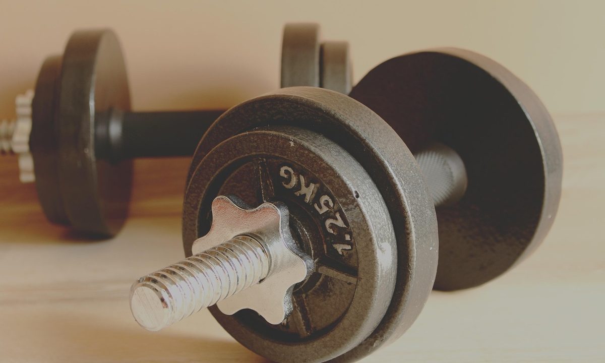 Weightlifting barbells and dumbbells in a training area